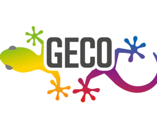 GECO, INTERVISTA A LINO MANFREDI
