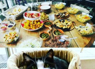 Veganesimo, L’arte culinaria dello Chef Massimo Fontinati