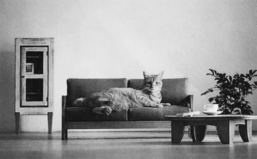 catfurnitureok