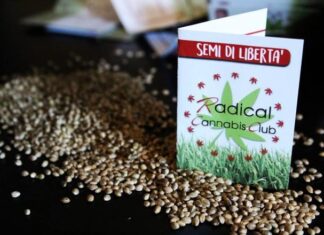 Cannabis legale FAI DA TE