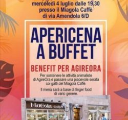Apericena vegan benefit per AgireOra Network