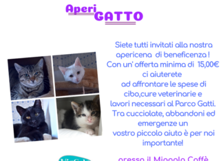 Aperigatto da Miagola: 13 Giugno