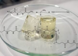 Idrogel… alias silicone industriale (di Valeria Calda)