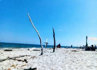 Addio al festival naturista, il Lido di Dante ha troppi problemi