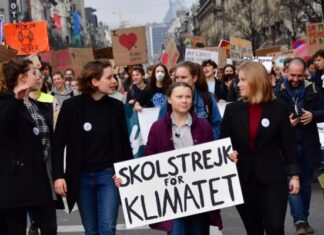 Greta e i cretini complottisti senza fantasia