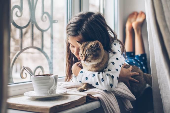 gattoterapia