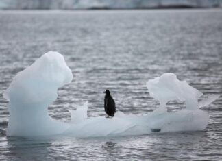 L’ABC dei cambiamenti climatici: cinque fatti di cui non si può dubitare