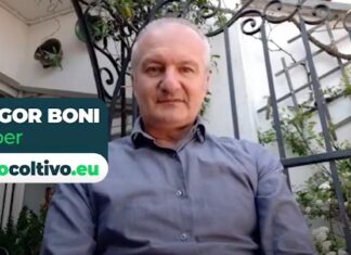 Io coltivo cannabis sul terrazzo insieme a centinaia di italiani che disobbediscono al proibizionismo