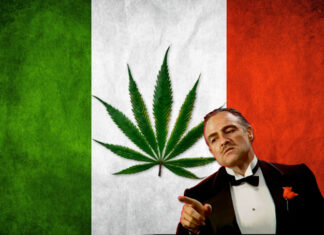 IoColtivo: cannabis legale contro il monopolio delle mafie