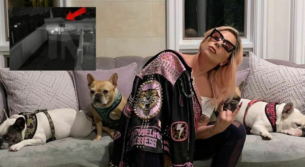 lady_gaga_cani_rapiti