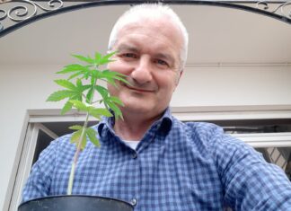 Libera cannabis in libero stato