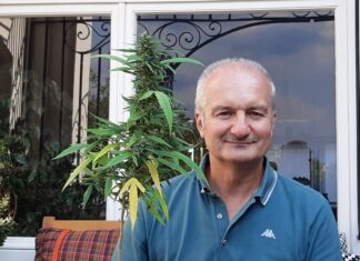 CANNABIS LEGALE: LA PAROLA AGLI ELETTORI Igor Boni cannabis legale
