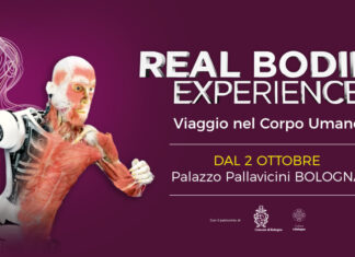 Real Bodies Experience a Bologna