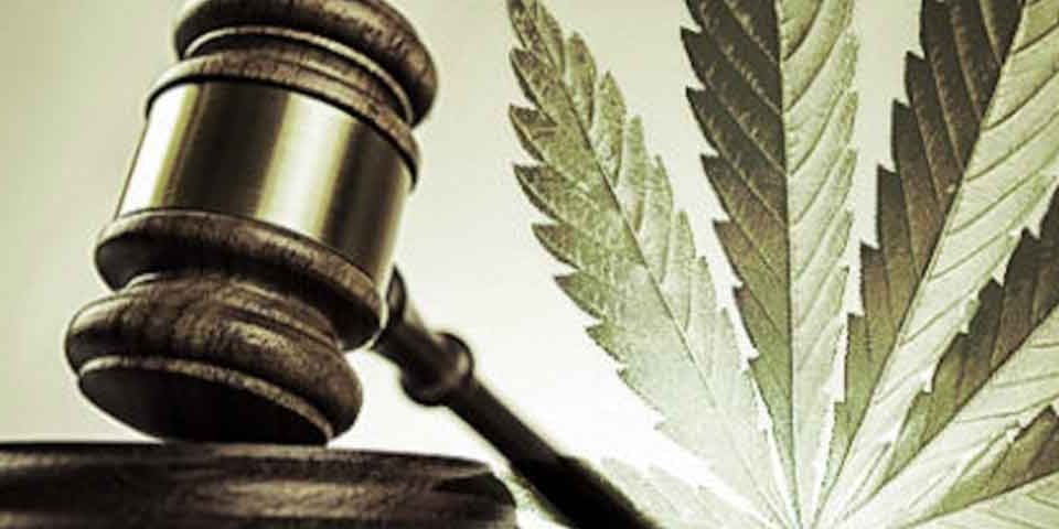 legge-italiana-sulla-cannabis-legale