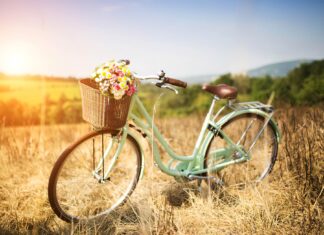 Gli aumenti dei prezzi nel mercato della bicicletta
