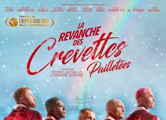 Il ritorno delle “Crevettes pailletées”, contro l’omofobia in Russia