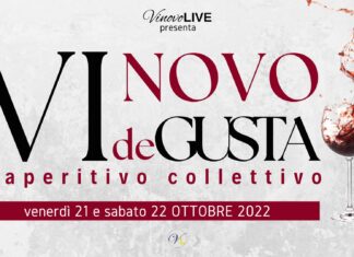 VINOVO deGUSTA, alla scoperta del vino