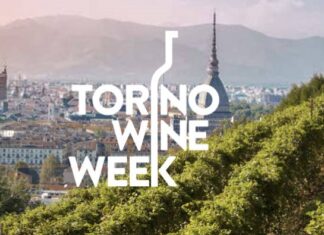 Un weekend di Torino Wine Week per iniziare dicembre