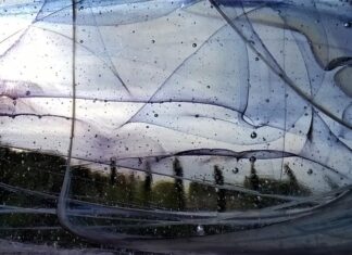 La mostra “non micro, non macro ma mesoscopico” di Laura Fiorentino a Torino