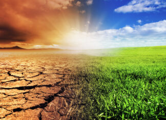 Al via la Cop28 di Dubai: per il 90% degli italiani il cambiamento climatico è una grave minaccia