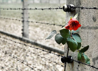 Il Giorno della Memoria a Torino: tanti eventi per non dimenticare