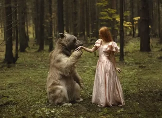 Ursus in fabula