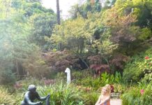 Una gita da fiaba al giardino botanico di Gardone Riviera