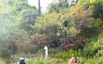 Una gita da fiaba al giardino botanico di Gardone Riviera