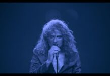 L’amore muore… la musica no! Intervista a Danilo Cristofaro