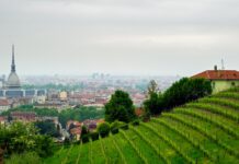 Il Vermouth riparte da Torino anche nel 2025