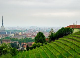 Il Vermouth riparte da Torino anche nel 2025