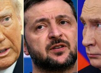La politica degli energumeni
