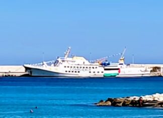 Il coraggio della nonviolenza: i pensieri di un monaco buddista in viaggio verso Gaza